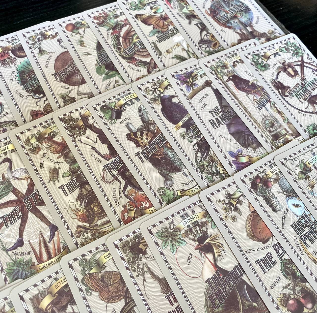 a collection of cards with various illustrations and text, arranged in rows. The cards appear to be part of a deck or a display, with each card featuring a different design and possibly a different story or theme.