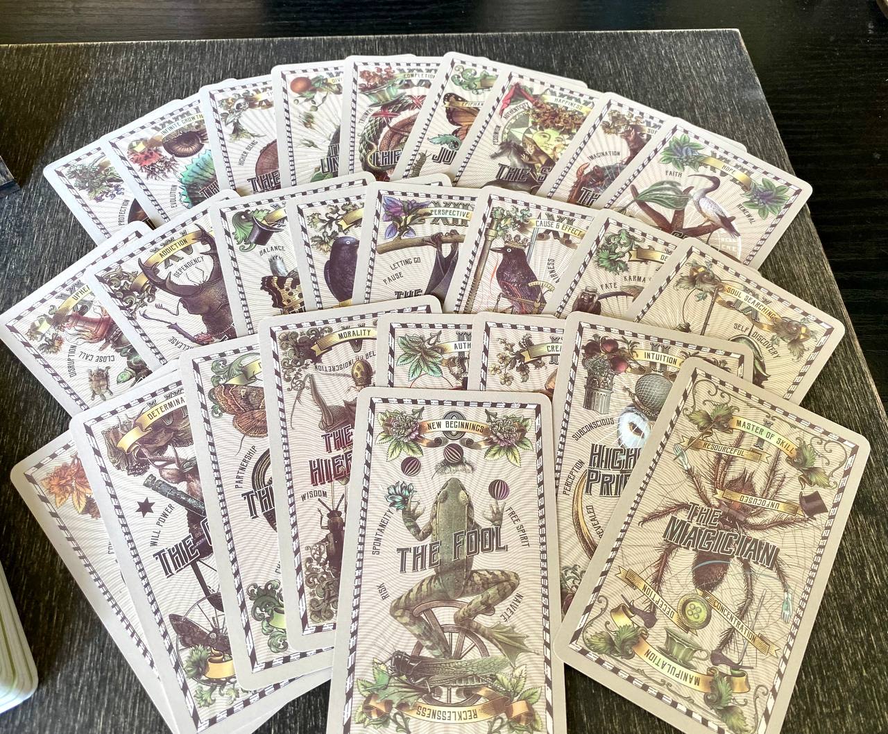 a collection of cards with various illustrations and text, arranged in a fan-like pattern on a surface.