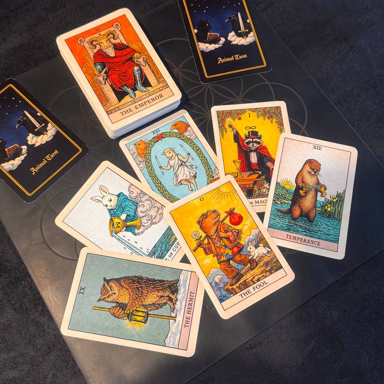 Animal tarot cards spread showing detailed illustrations and symbolic meanings
