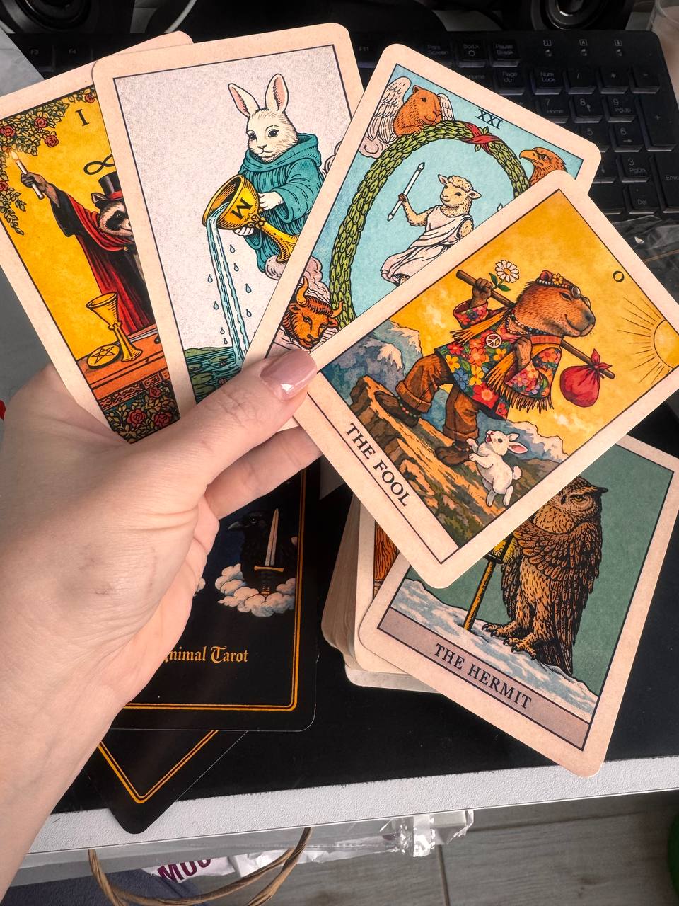 Animal tarot cards deck with illustrated animals for divination