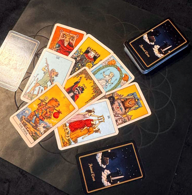 Animal themed tarot deck high quality printed cards