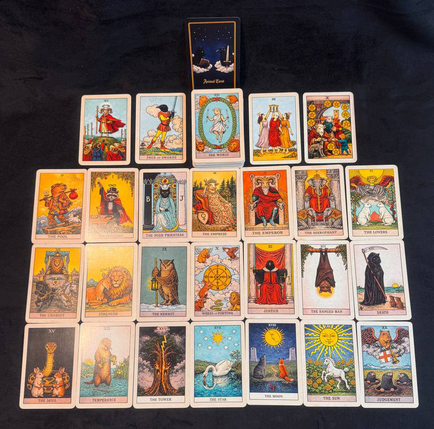 Divination tarot cards with mystical animal illustrations
