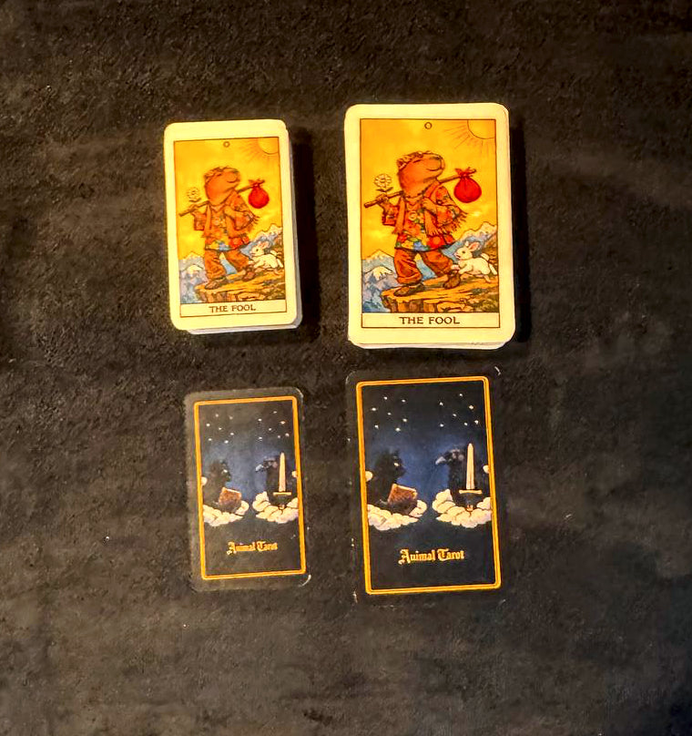 Two tarot cards titled 'The Fool' on a dark textured surface.