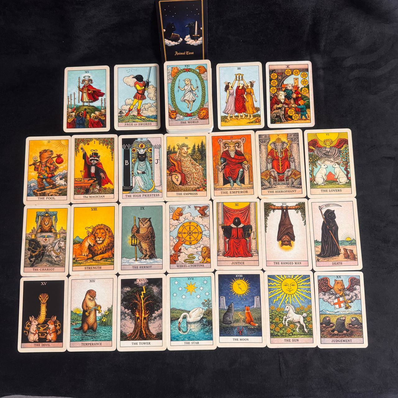 Complete animal tarot card set for beginners and experienced readers