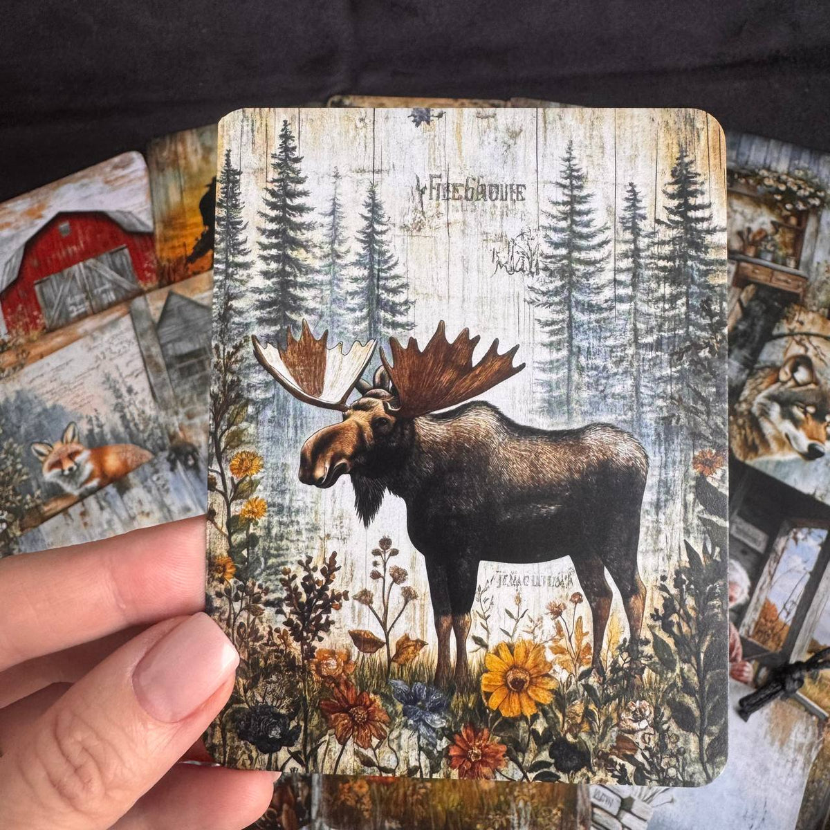 Wild Country Within — Metaphorical Cards for Therapy, Coaching & Self-Reflection