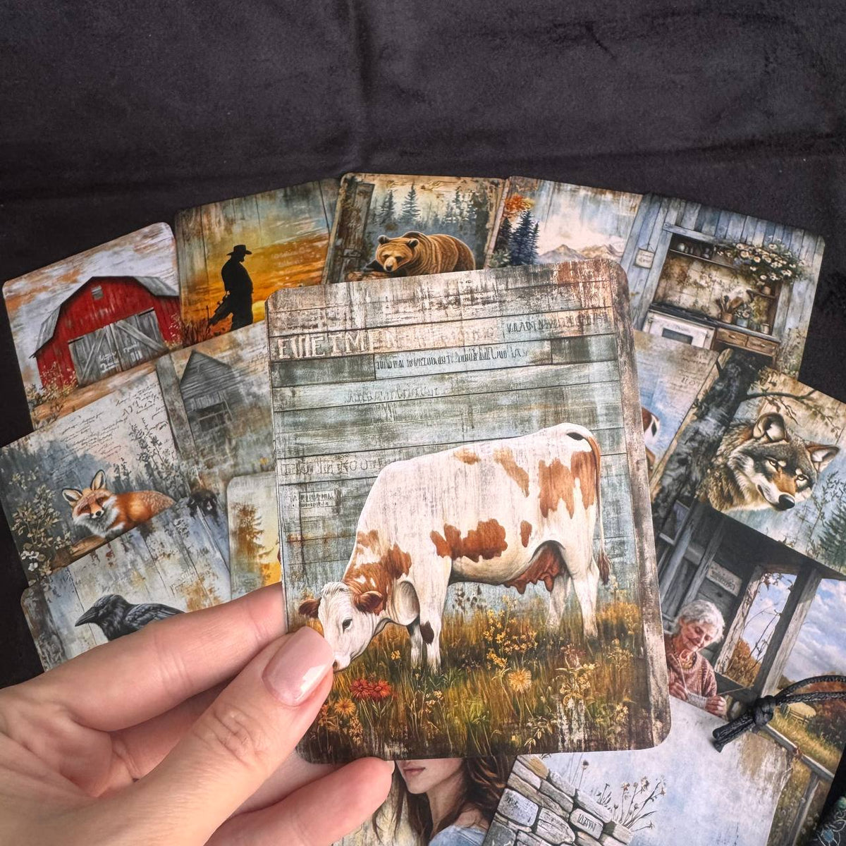 Wild Country Within — Metaphorical Cards for Therapy, Coaching & Self-Reflection