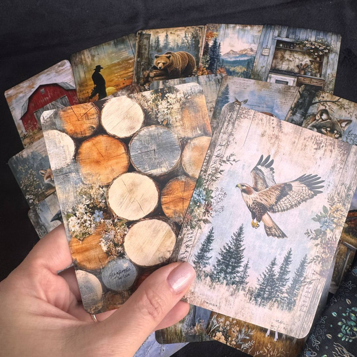 Wild Country Within — Metaphorical Cards for Therapy, Coaching & Self-Reflection